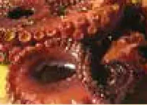 Octopus with vinegar